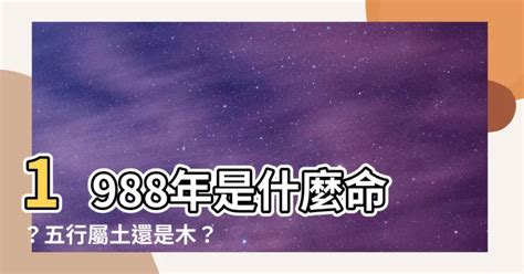 1988土龍|【1988 什麼龍】1988 年五行屬什麼龍？你的命運、姻緣等你來解。